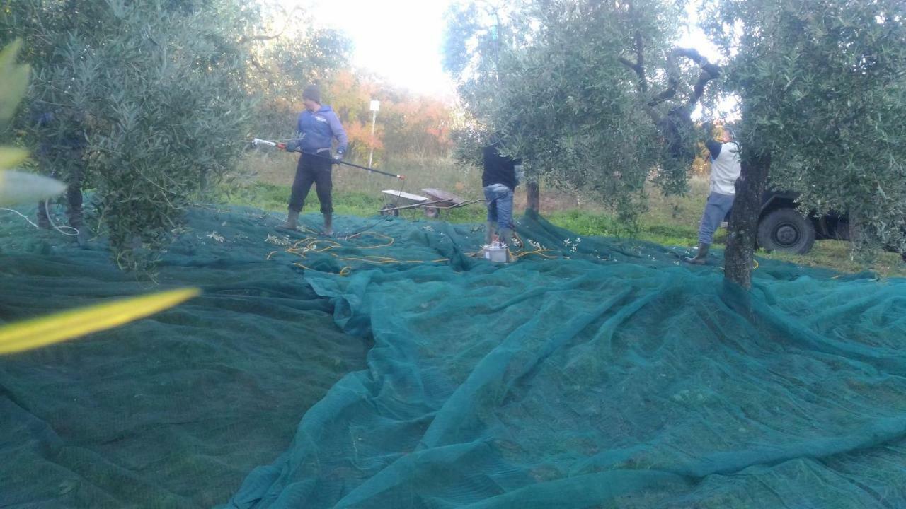 Baduerughe - Valledellago Poggio Mirteto Екстер'єр фото